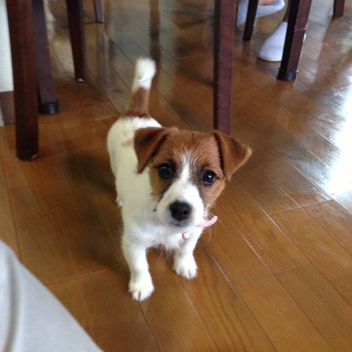 878f8f3c 2724 491f 8f8d 7e4a4a7c5e47