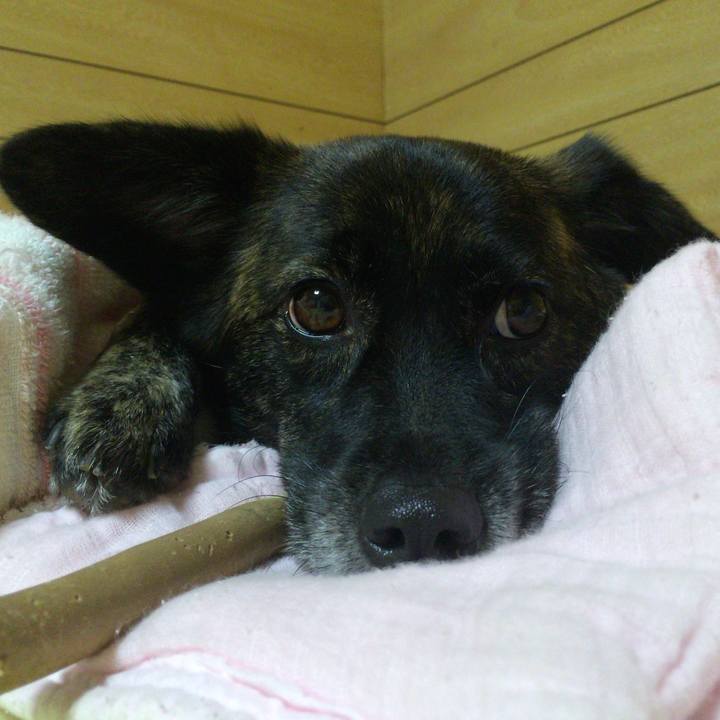 879083cb be1a 4824 9b8a c196e5d66f05