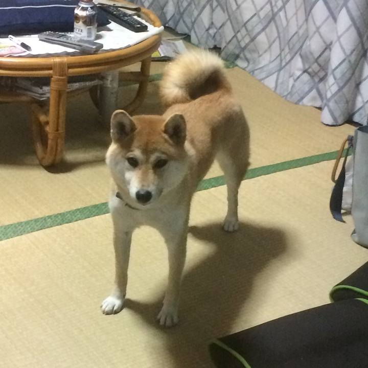 879098e1 02c7 4f4a 84c9 86259882c76a