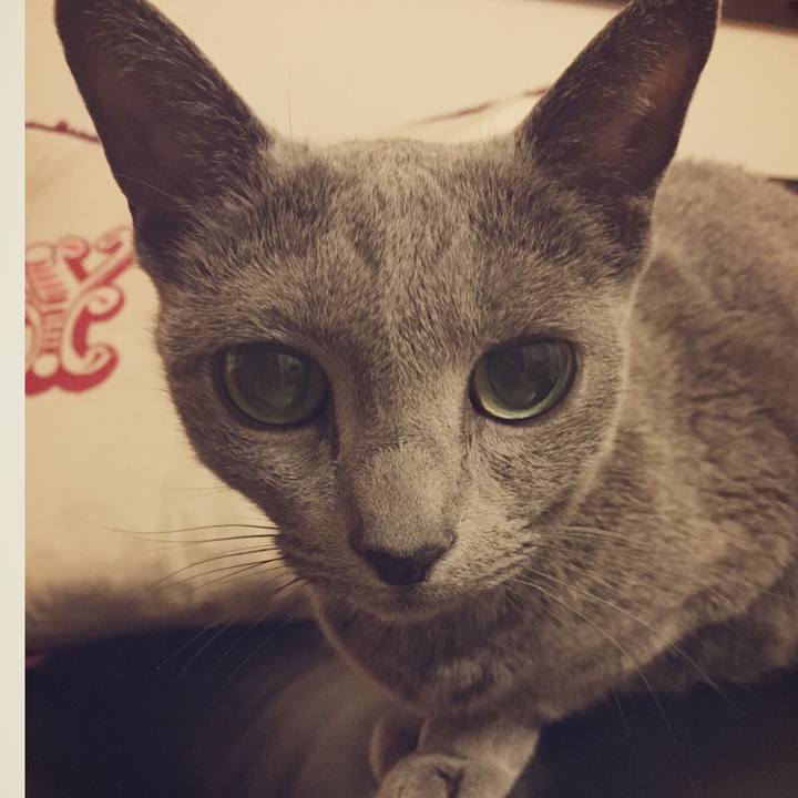 87924bc0 78f4 40d8 874d 1255ecae6a71