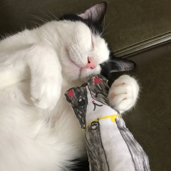 87932a51 88c9 4552 8ee2 817d6d683d82