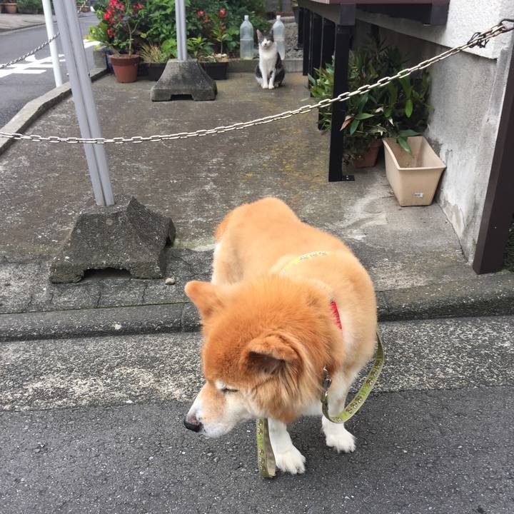 879386c3 3f7d 46a4 9242 fd72fdf2c90b