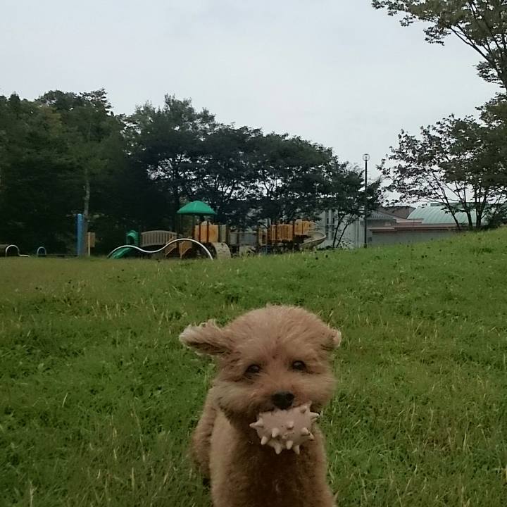 8793e8c3 774f 4837 85c3 402a06489e10