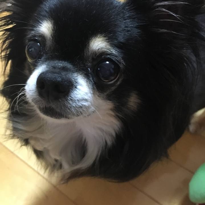 87944248 4384 46b9 b272 5a5ca3083777