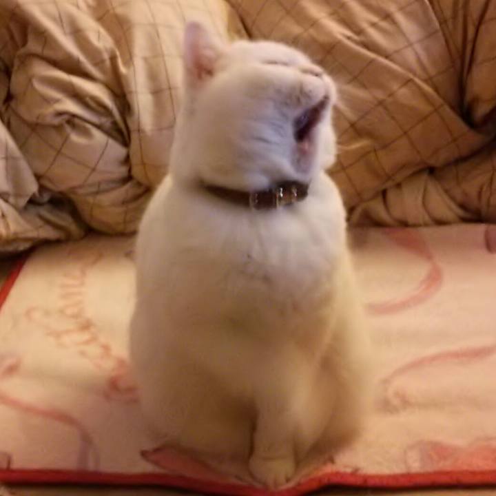 8794dae6 0bb5 401b 8109 61b0adc2d3d4