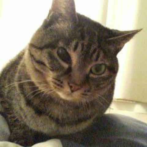 8794e10f 0606 49c8 8680 4c3cc3ed3ce6