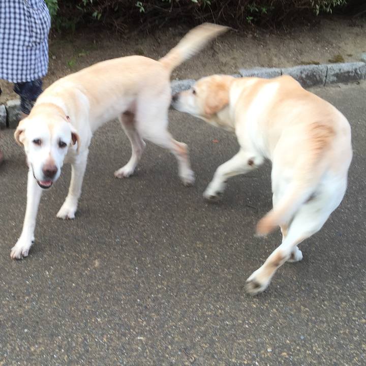 8794e161 7d57 4a21 b305 d4d68b291c12