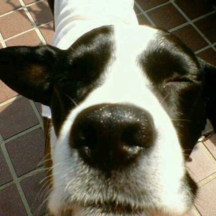 87964a52 4f16 4617 b8a1 0fb3912bee2b