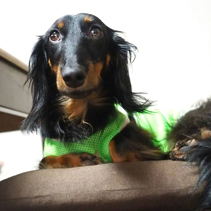 8796744e 2b4e 4081 b23f 04e83bc803d0