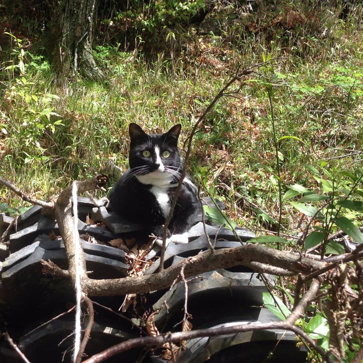 8796f276 a214 4a22 b1d9 662907a6b6a4