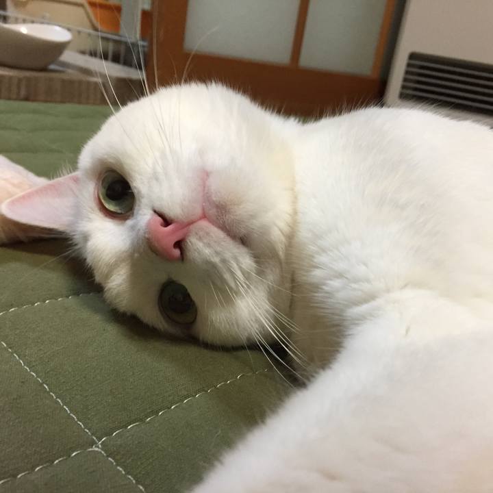 879727ee 23a8 48b8 a5e3 fc17607bebf9