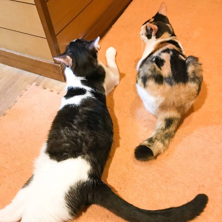 8797770e 50f5 4c00 9e70 f532338f40d4