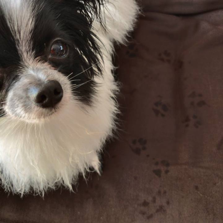 87978b6b a04a 45fb 926c 4809d546c62e