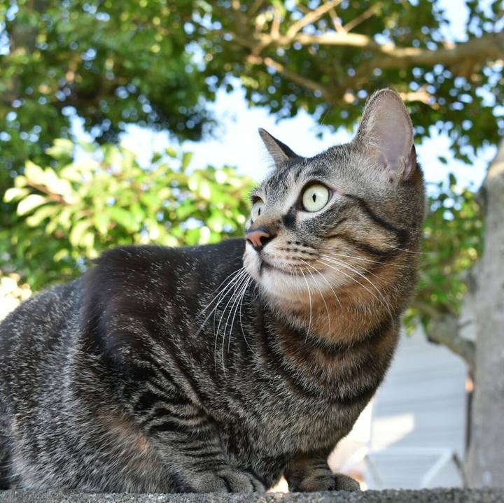 879798ea 2951 4110 aeb2 99bf1ddb0937