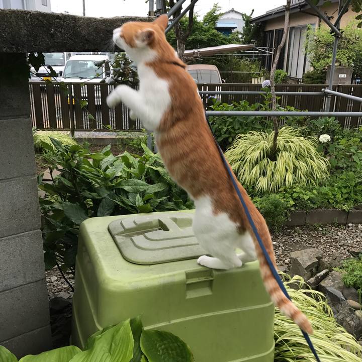 87988e82 bf9f 4906 b3f0 a9a85fa125d4