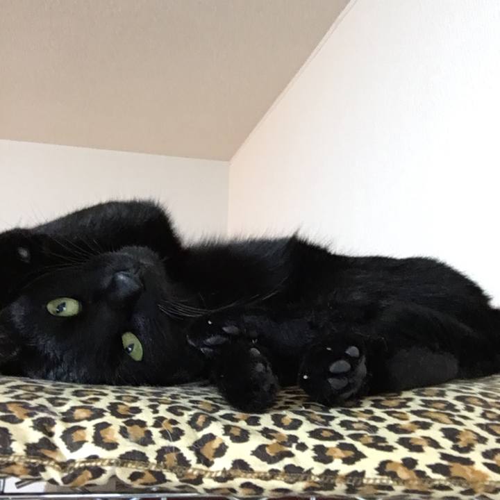 879922de dafc 47e8 b725 c81a4a9af335