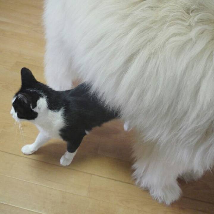 8799bdac 9cb5 4248 9b41 4bbd260d794b