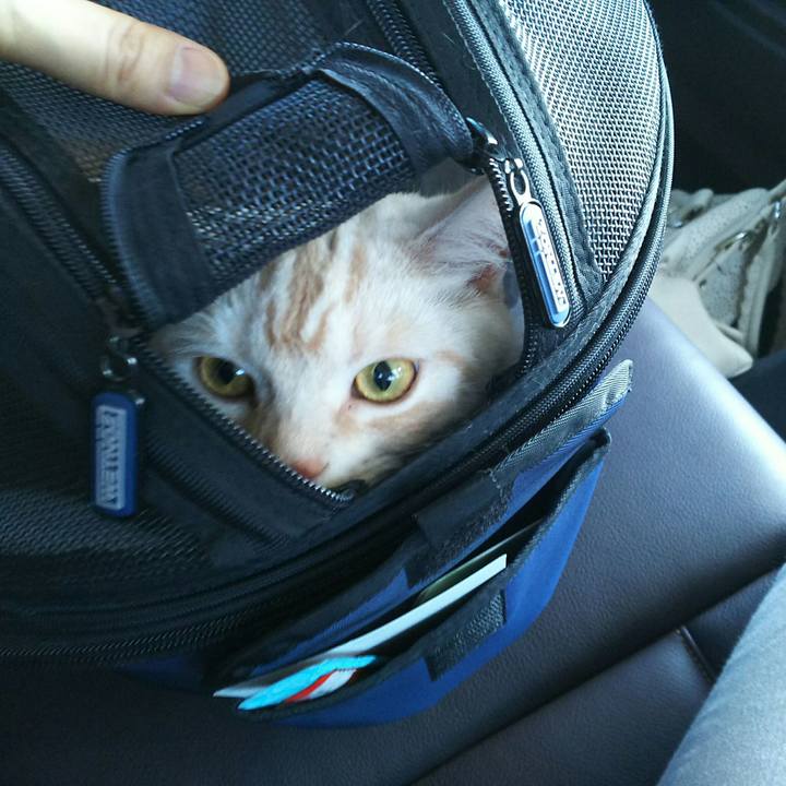 879a9c6b f219 4582 9993 7becba08eafd