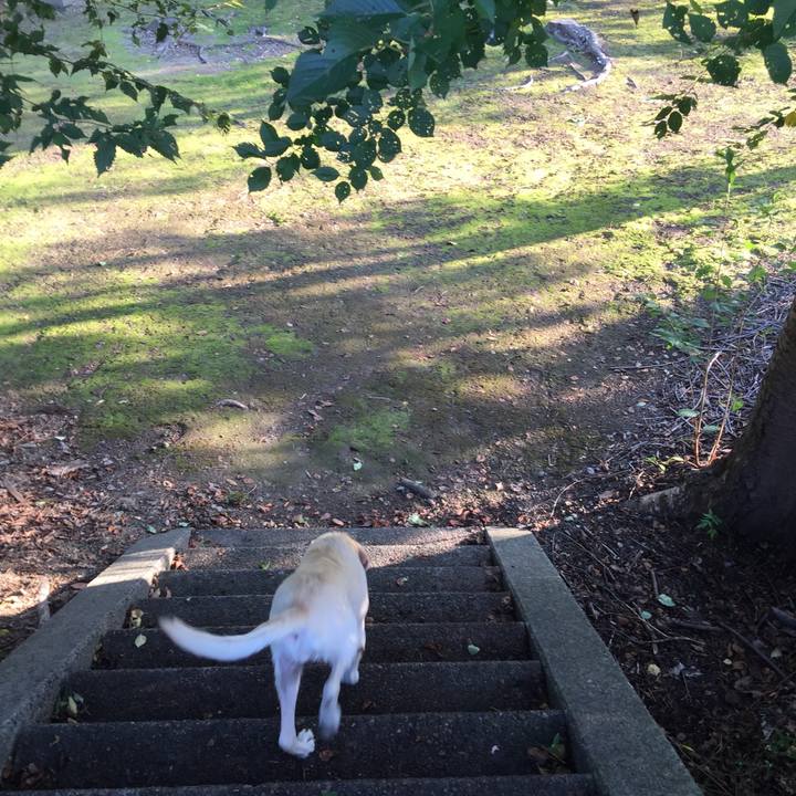 879abc31 77bc 424e 9420 05fe3ed155f2