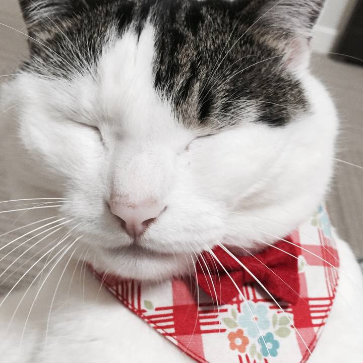 879ad90b 5555 4abe 8bb7 7747cf3b7913