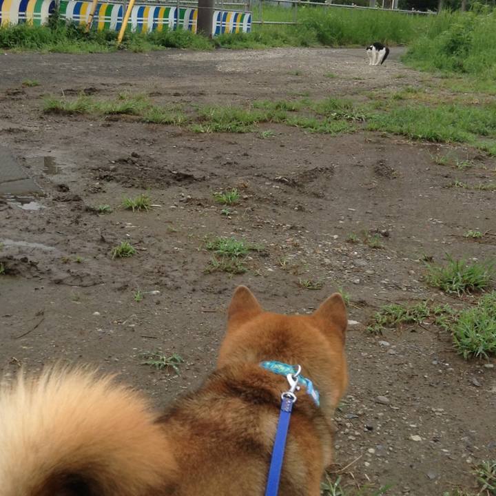 879b085b 96a5 496e 9ea2 f0e31ce3e7cc