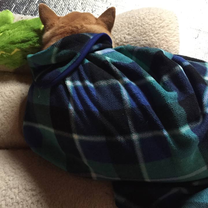 879b58d8 2c93 4630 9b7b e1530371ad23