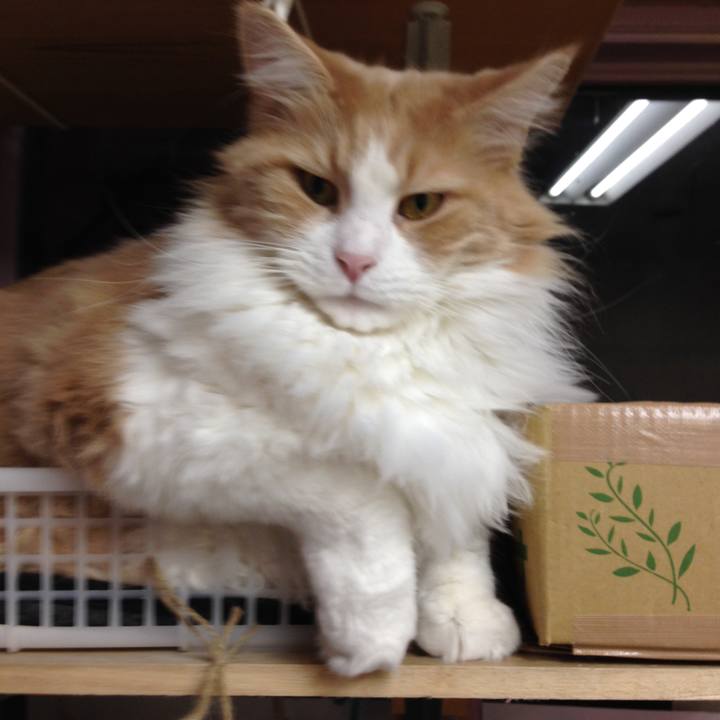 879c82bd c2ce 4991 a175 f26e6cd49460