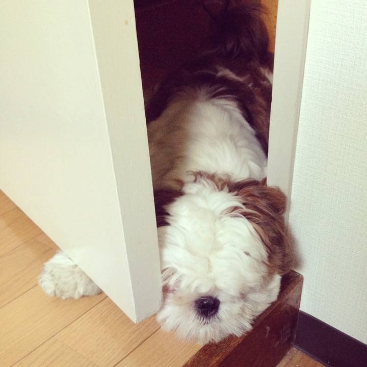 879ce635 c861 46b9 b683 af6e9356c940