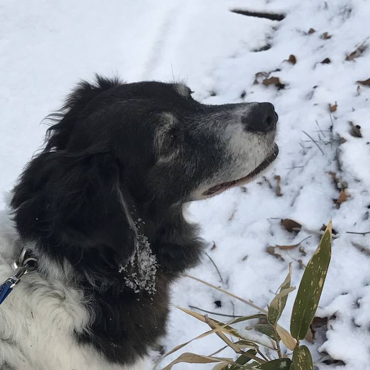 879cfaff f53a 4118 b262 c81713192330