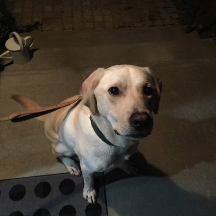 879d21d3 282d 47d5 8584 bf03dfaa0a41