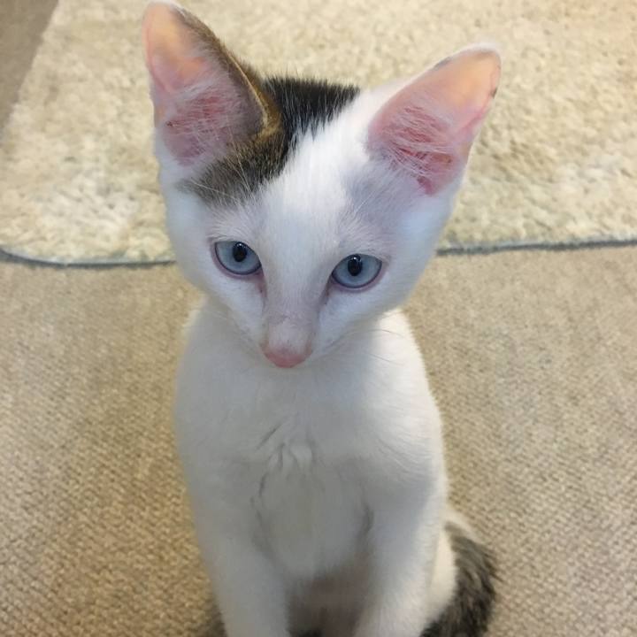 879d25f6 049c 4b6c a212 e71e972af8d2