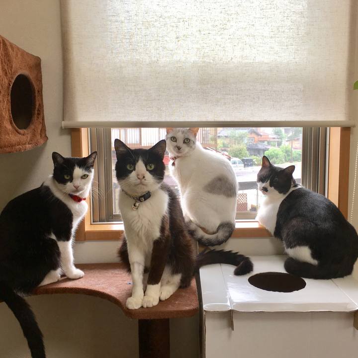 879e1da8 c970 4397 b45e a65d9d5233e8