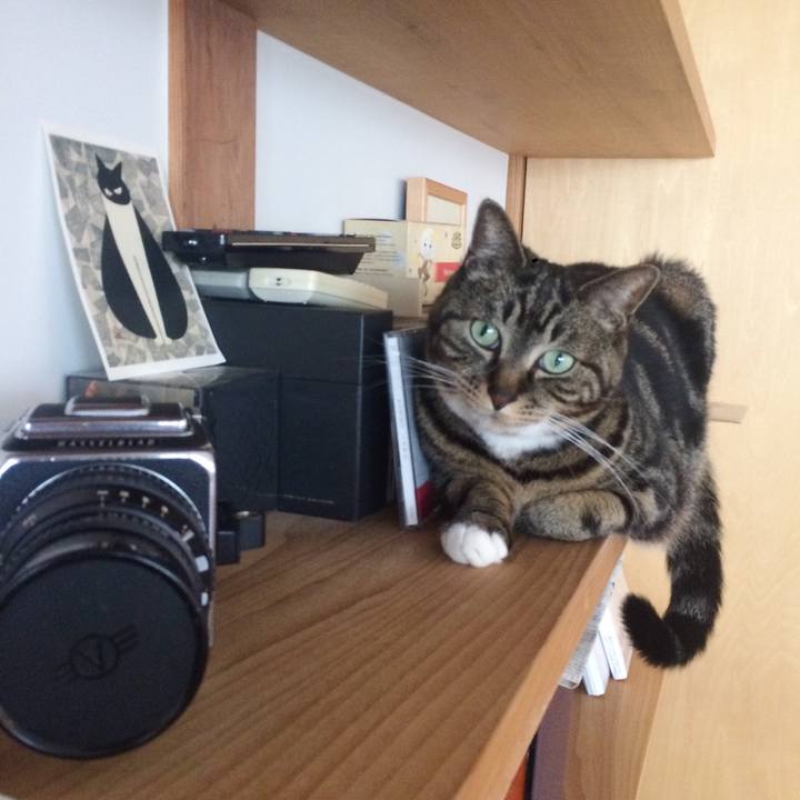 879e6c27 e7f8 4689 b887 3f2b7509c3a0