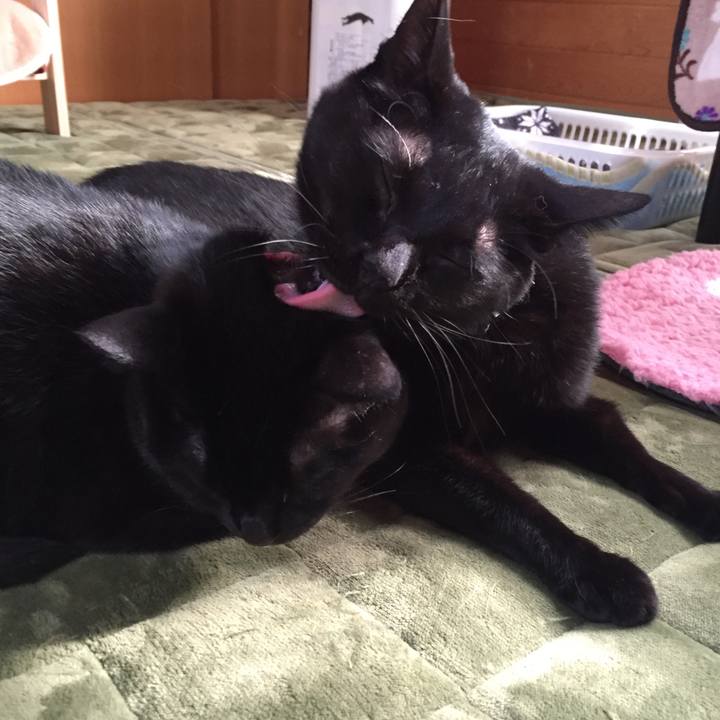 879ea8ea d47a 4937 a4b5 3f764c12c7c7