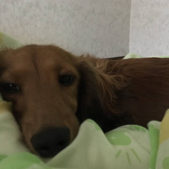 879eaf19 ce12 48d1 bb7d 0937822b2ae9