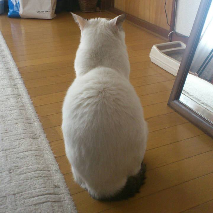 879ef746 6ce4 4637 a685 22251aeb18a8