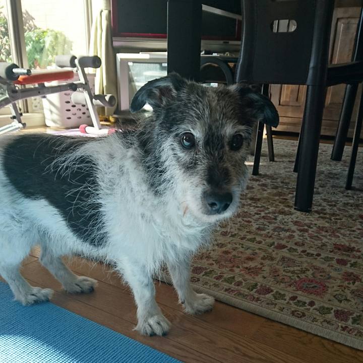 879f05c0 6d3c 458f 80fc d3032fd6d0cf