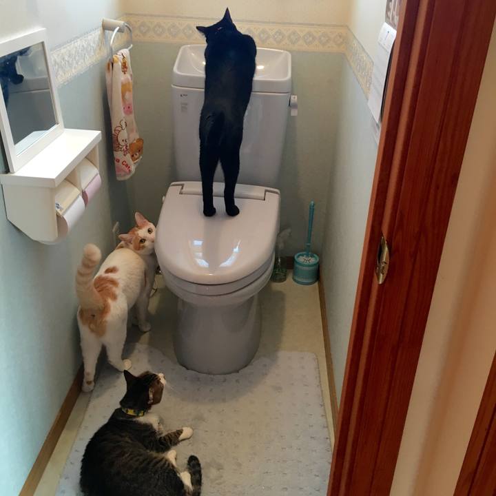 879f9122 b699 4cdc bf3b 7ed7afd11115