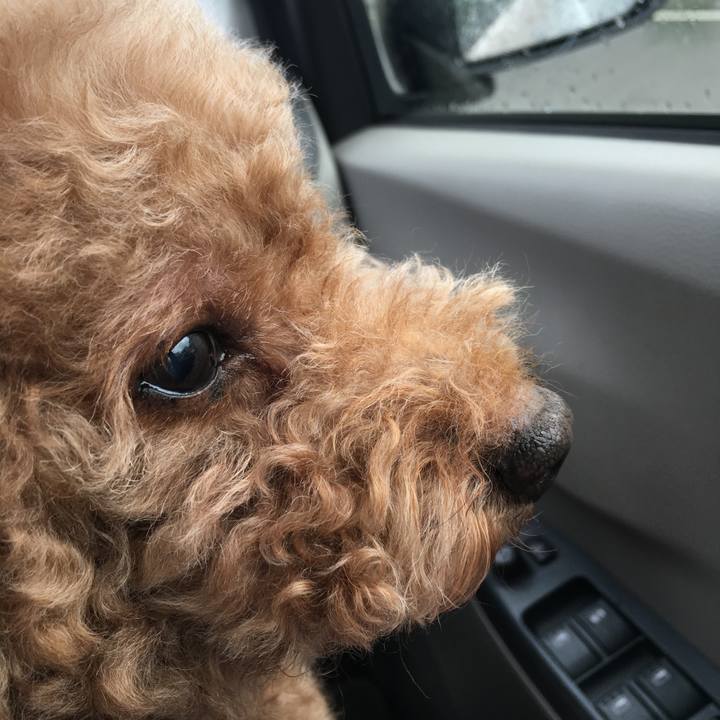 879fdbd0 3117 41cd 8c38 0919d927cf6e