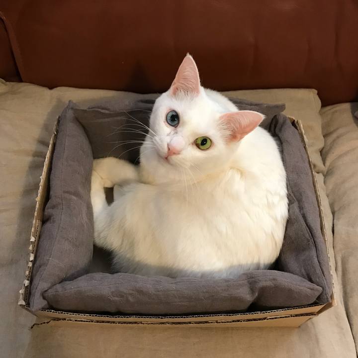 87a04ab4 0767 41e2 b5ca db9c872993c0