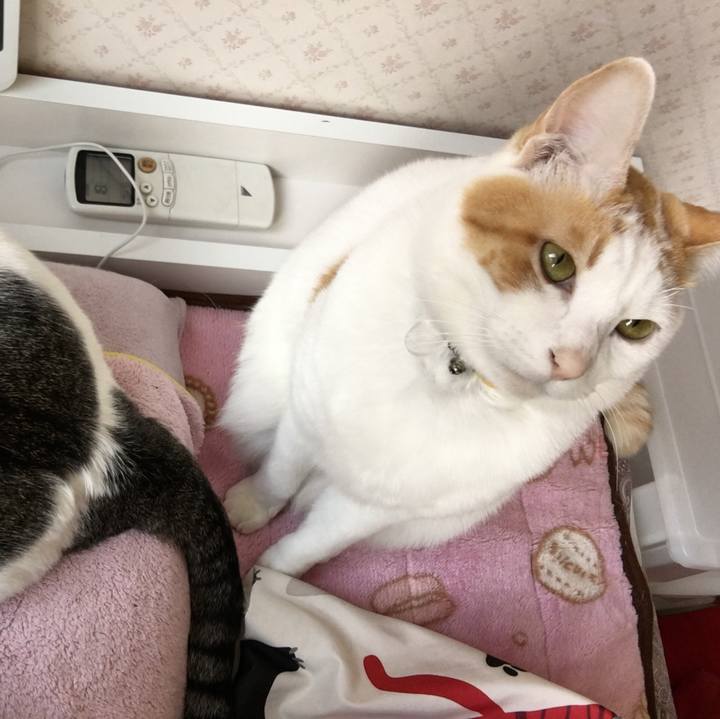 87a0826d 74a5 4a55 9d91 6c8d89eaab51