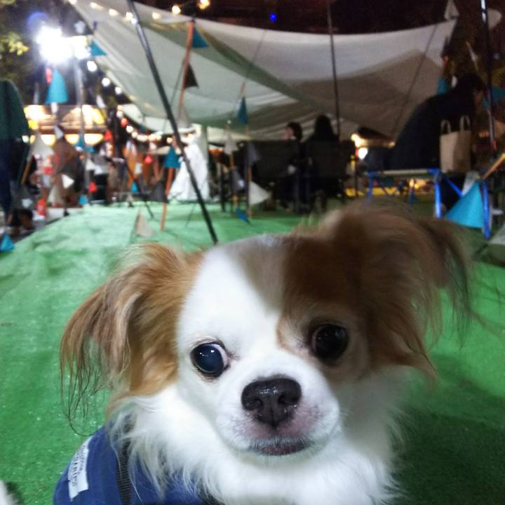 87a0843e f2ce 449f 8cf9 da6371faa42d