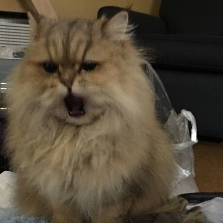 87a13f3d 90b3 4891 8fb7 48f0fb0187ce