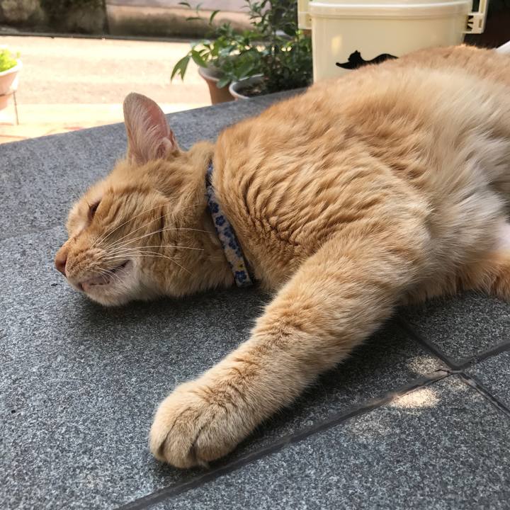 87a1f558 2cc2 4f4a b6a9 5a5d43122f10