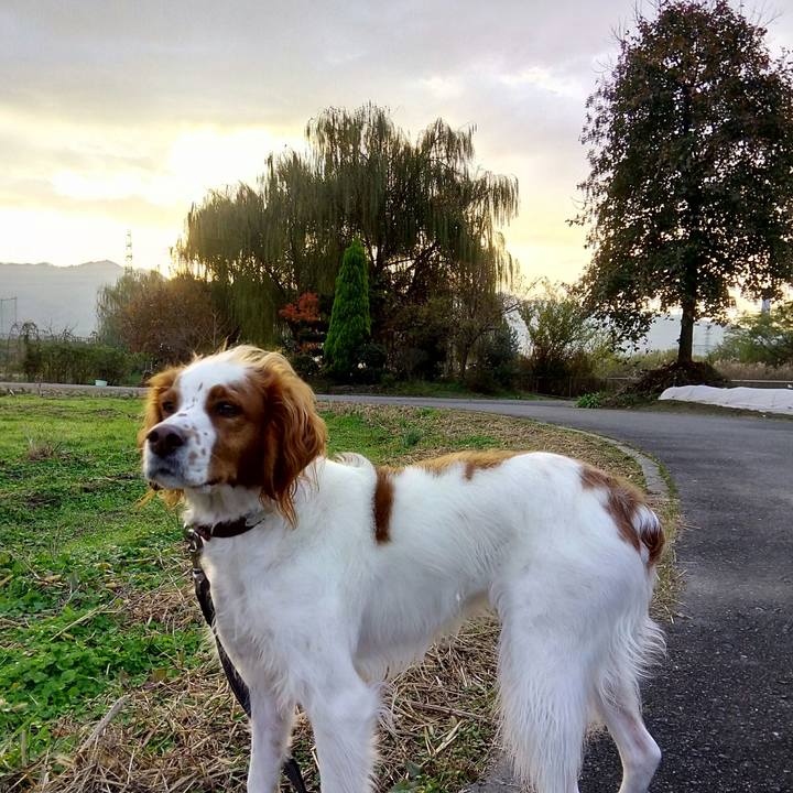 87a1f75b 45ff 4c26 b3ce e309518d0f29