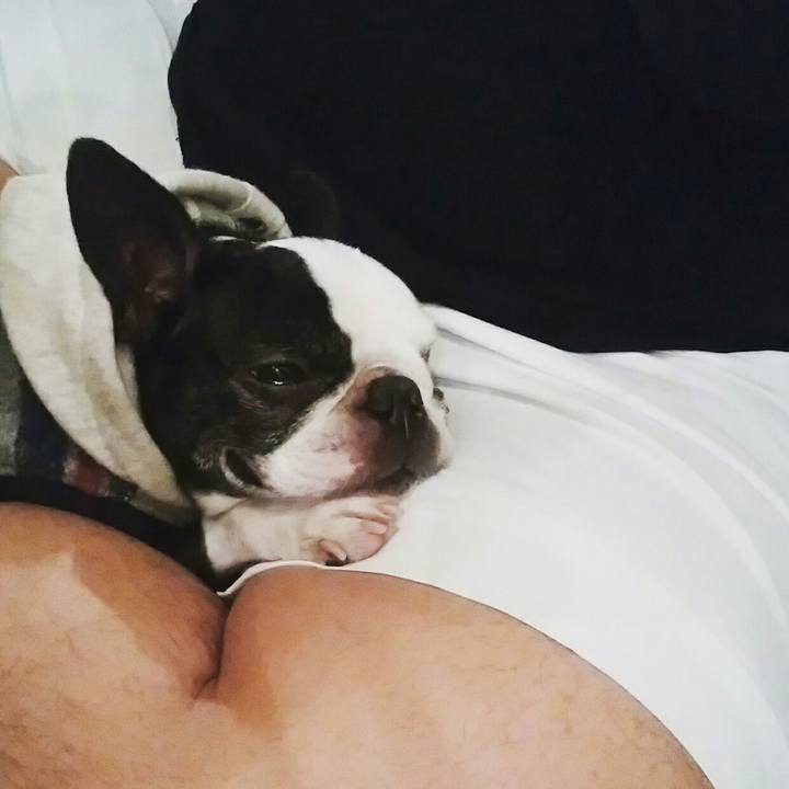 87a354e1 8fdf 40da a5d7 260270ef3630