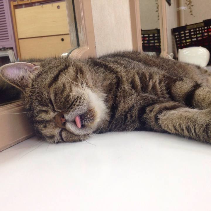 87a37186 18f6 4118 80c0 0ac19e127ac9