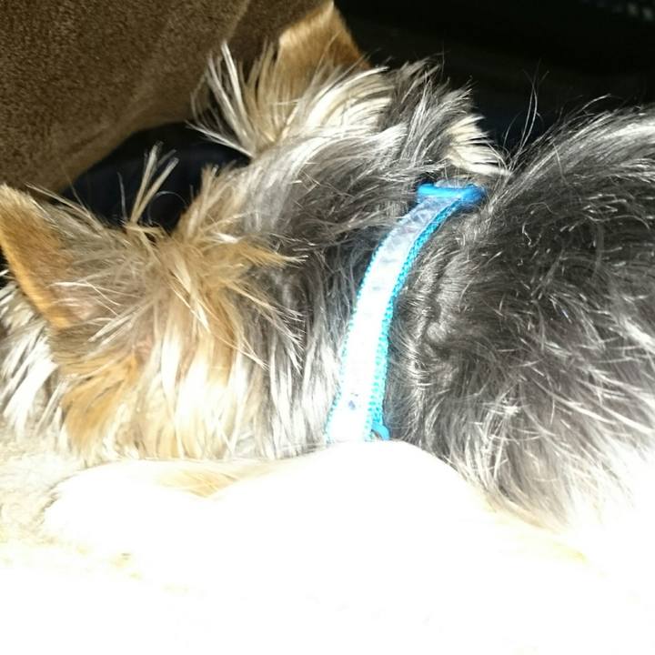 87a3f017 e46a 48d6 8018 e36e5c438933