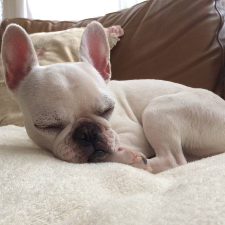 87a4174a ec96 4f1c 8135 4398bf24085e