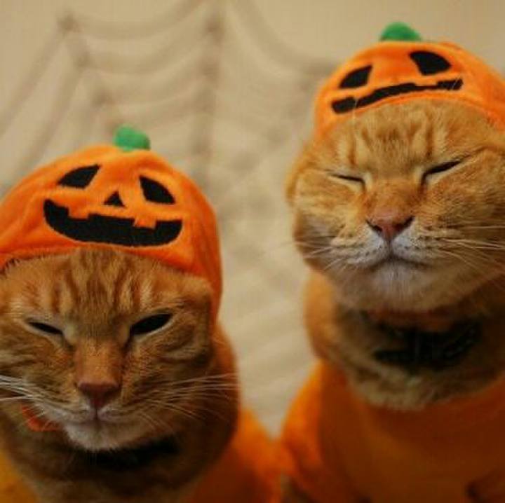 87a482d5 d019 479a a361 5382c1f49132